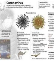 COVID-19 Corona Virus Posters